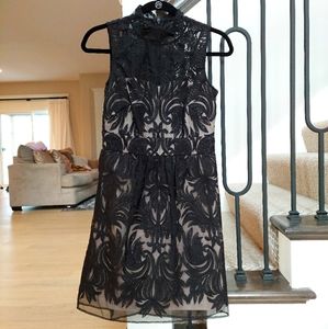 Anthropologie Black & Nude Dress